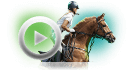 dua ngua icon